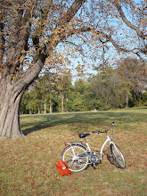 Bois de Boulogne en Bici