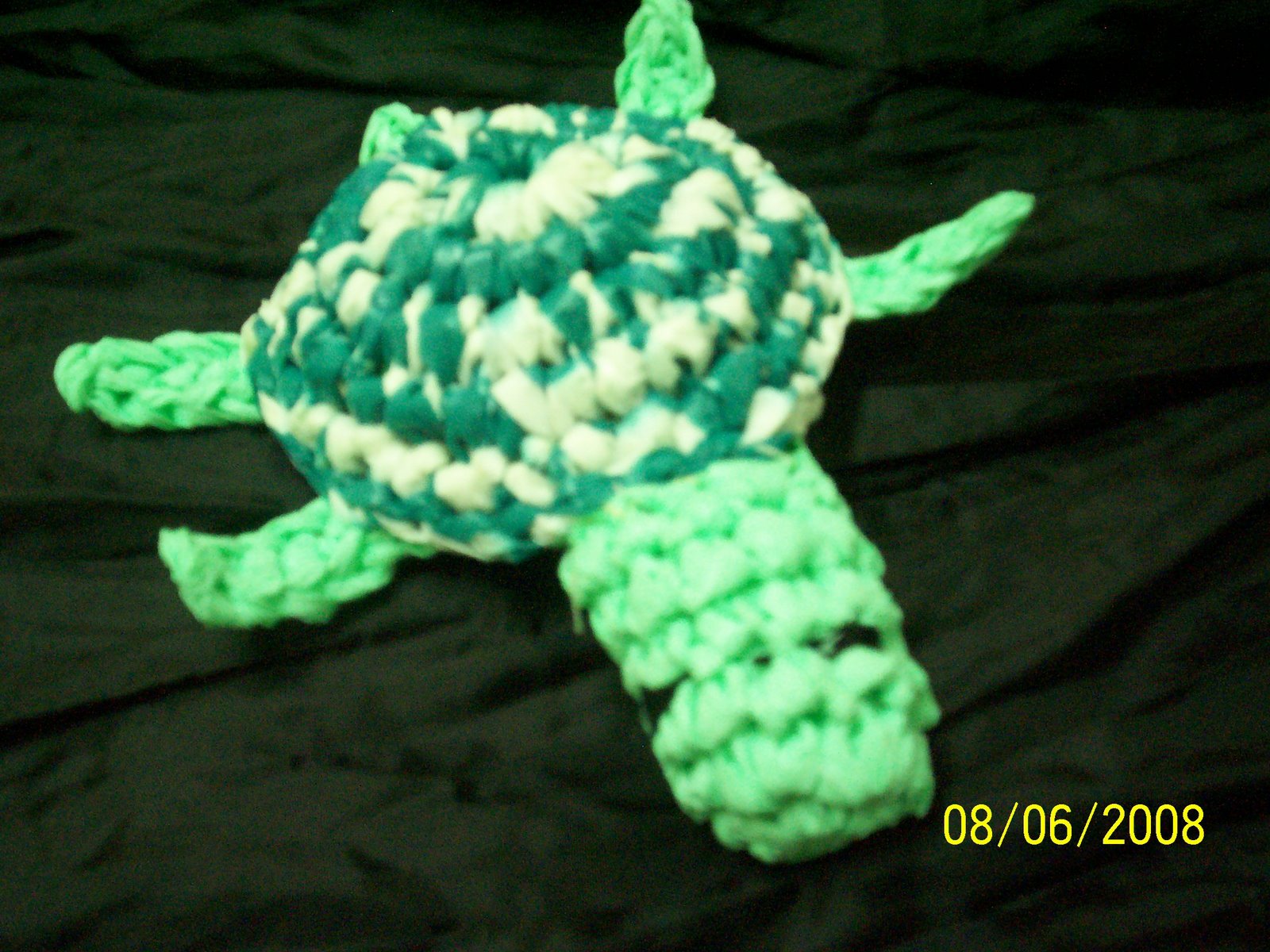 [Turtle+3.jpg]
