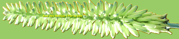 Aloe vera Nutrição a Flor da Pele. Pedidos 19-41413504