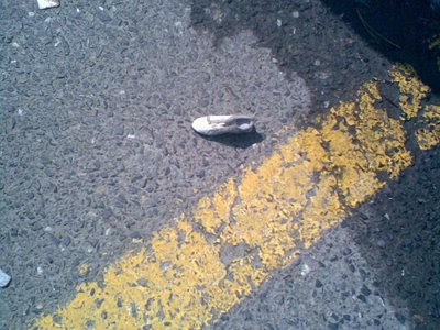 photo of a tiny shoe in a parking lot