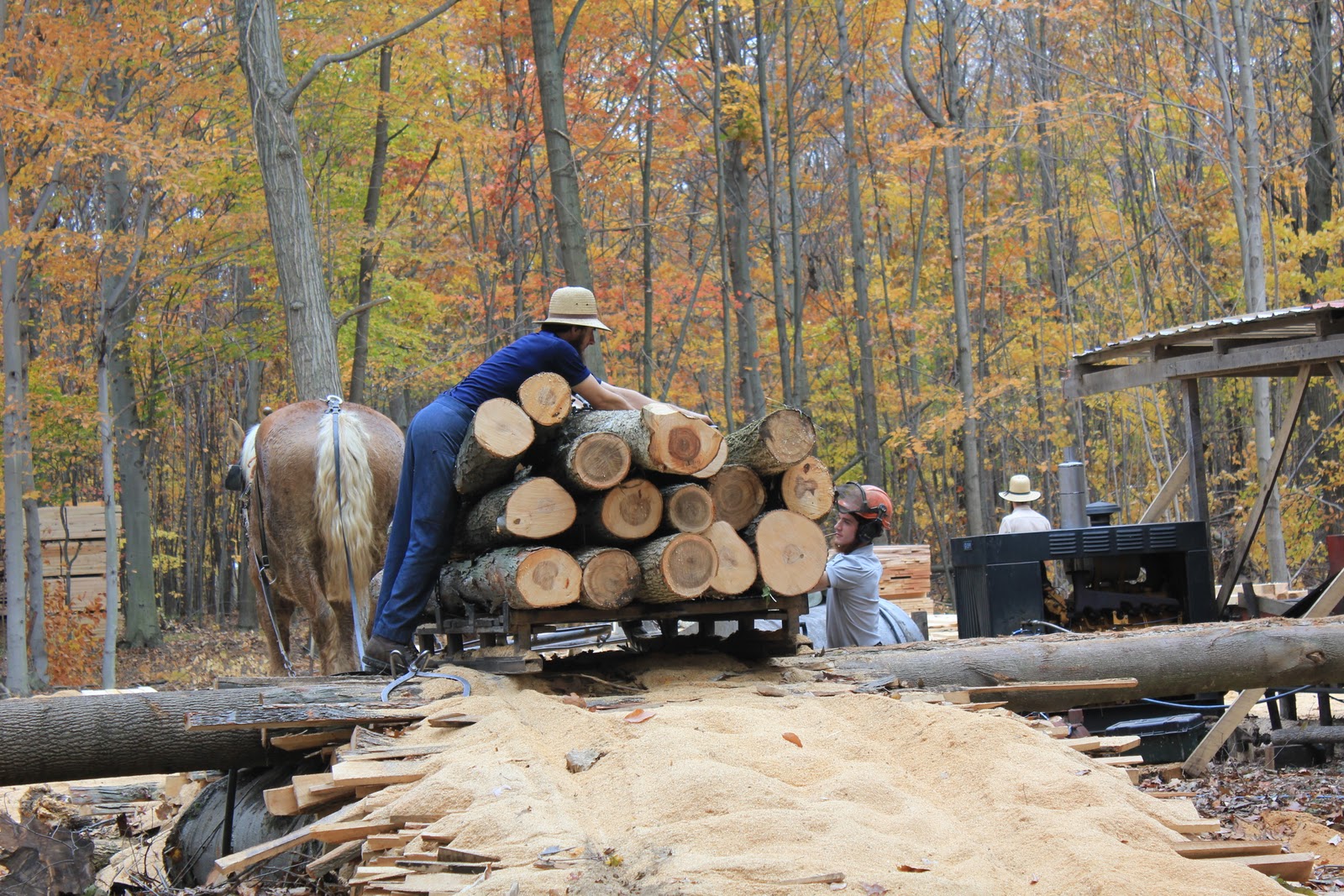 Wise Outdoor Adventures Amish Sawmill in operation Wellington, Ohio