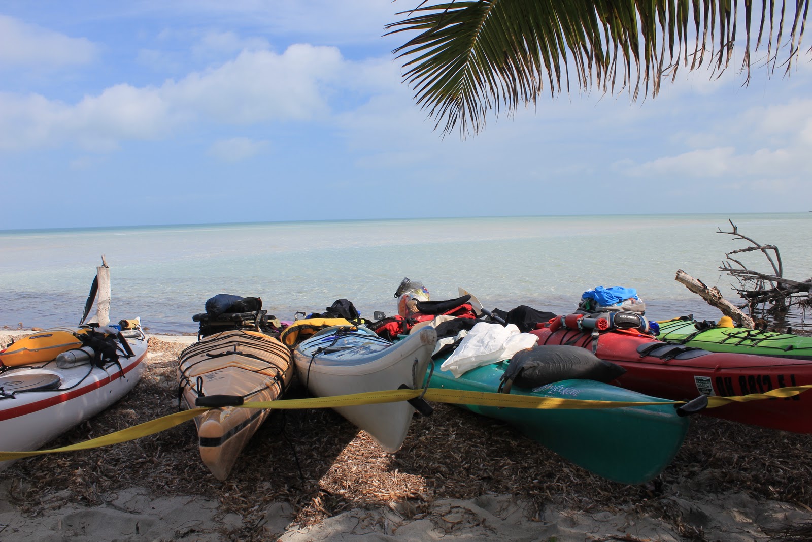 Wise Outdoor Adventures Kayaking the Florida Keys