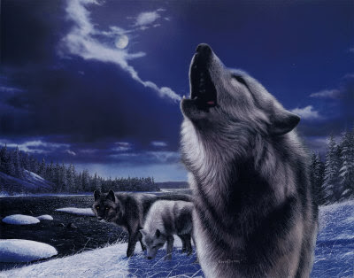 آخر موضة  KD0704~Howling-Wolves-Posters