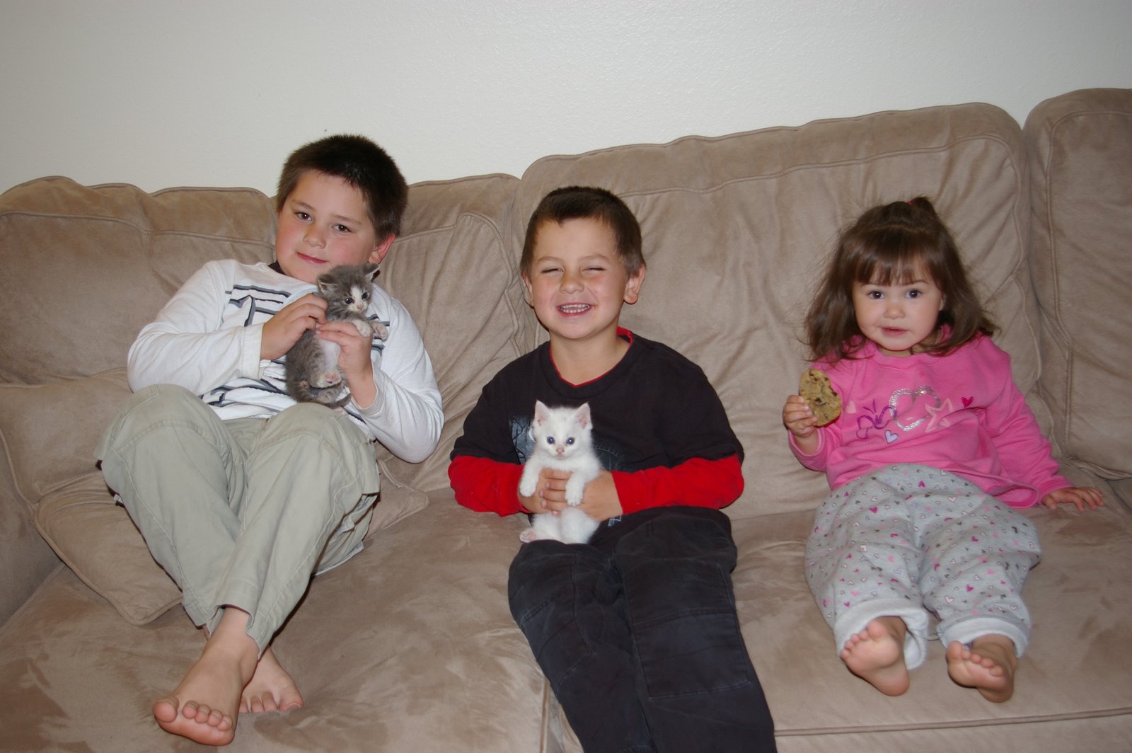 [kids+and+cats.JPG]