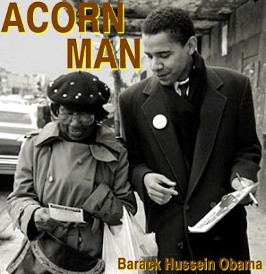 The Acorn Man |TRUMP LAND