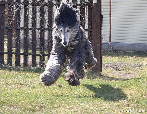 [FCBAD93AC488418D864B808906B3169D.jpeg.jpg]