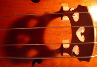 cello bridge wood shadow natacha colmez