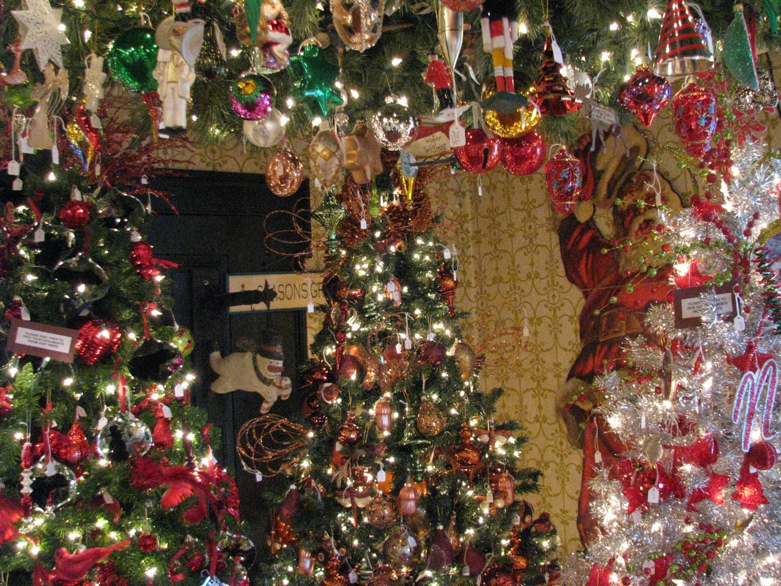 We Re Hunting Christmas Trees Tales And Tails