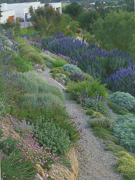 rusted trowel landscaping