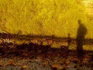 [DSC00378-1.JPG]