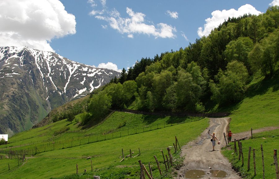 vartotojo kelta nuotrauka