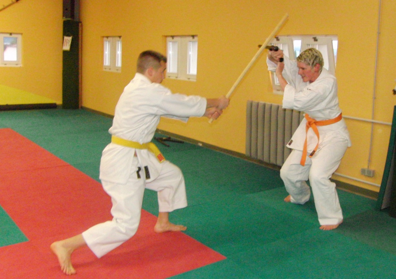 [ju-jutsu+243.jpg]