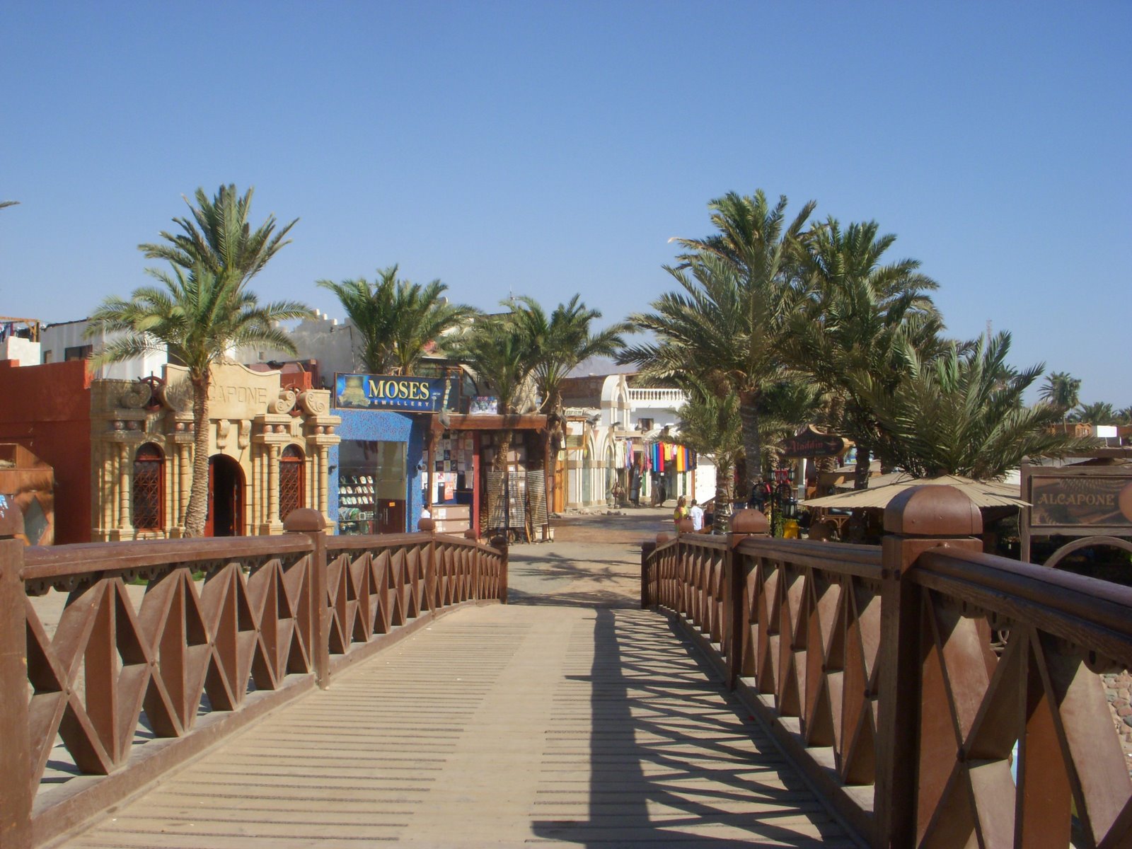 [DSCN2645.JPG]