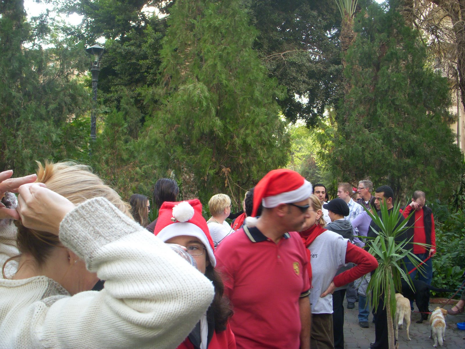 [DSCN1586.JPG]