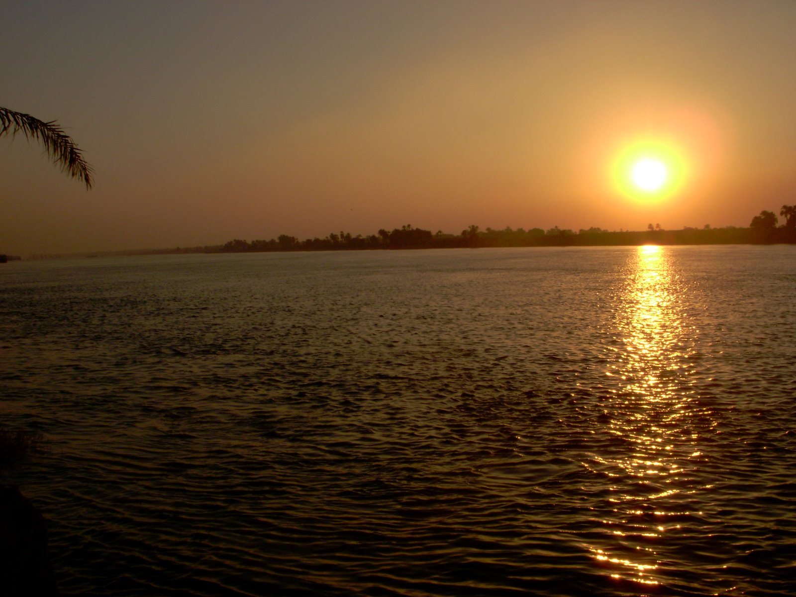 [DSCN2236.JPG]