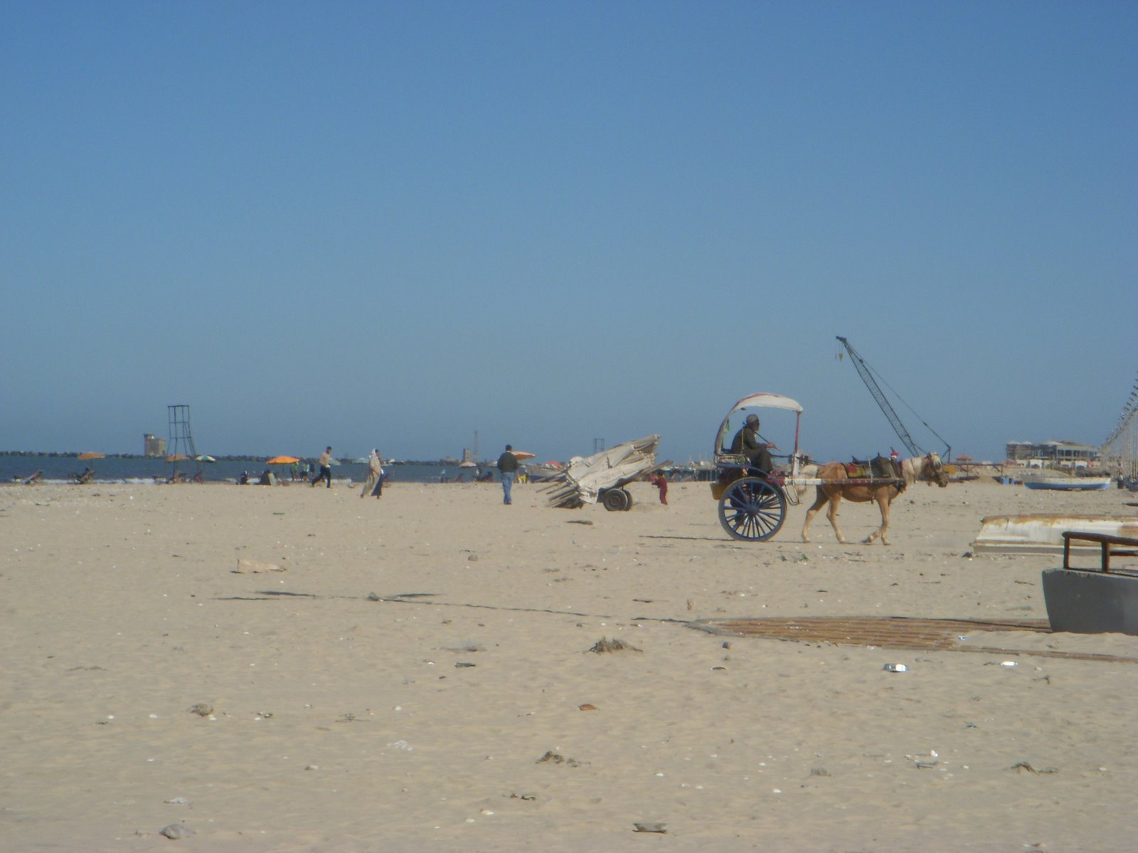 [DSCN2601.JPG]