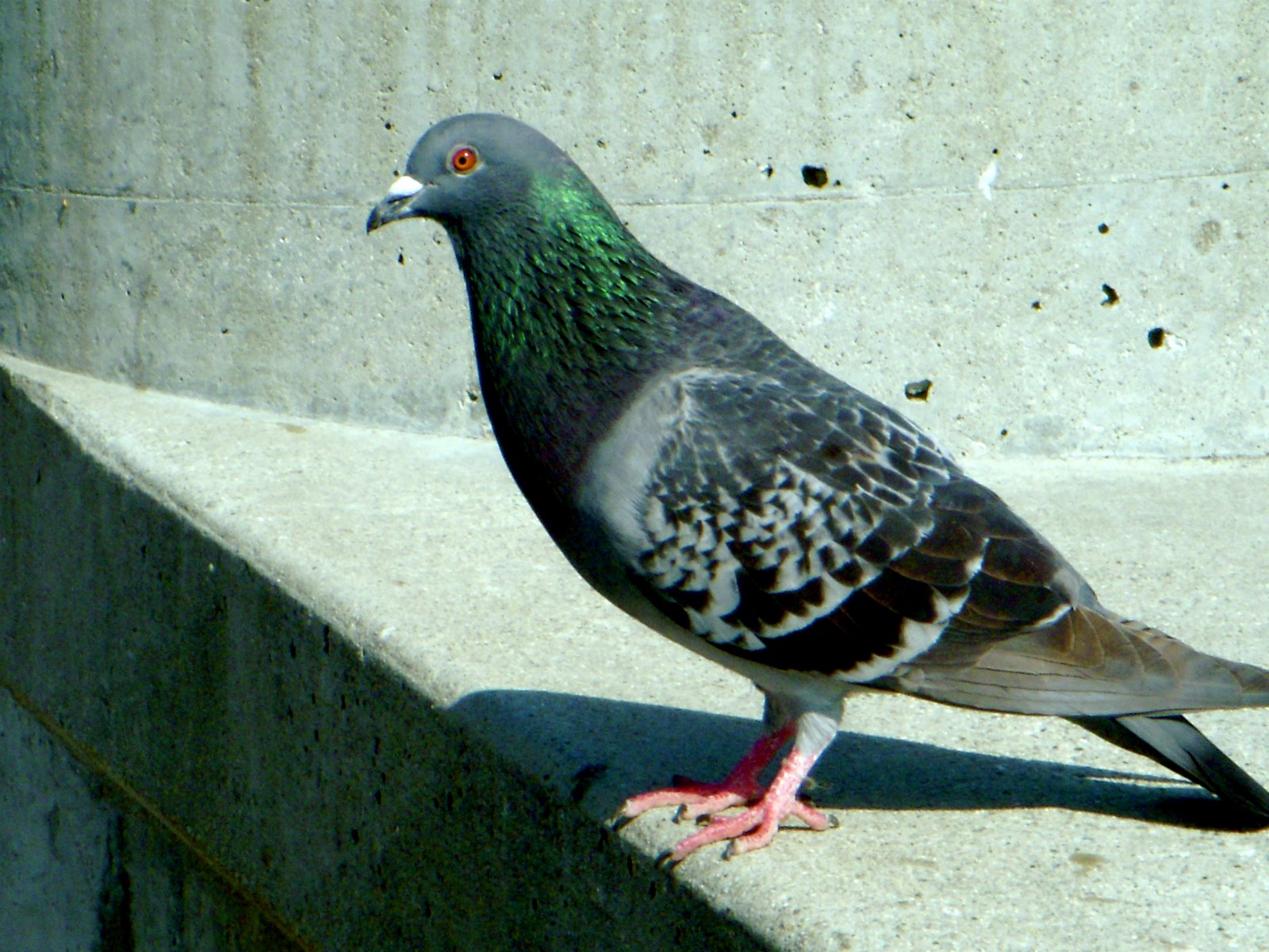 [DSCN0273.JPG]