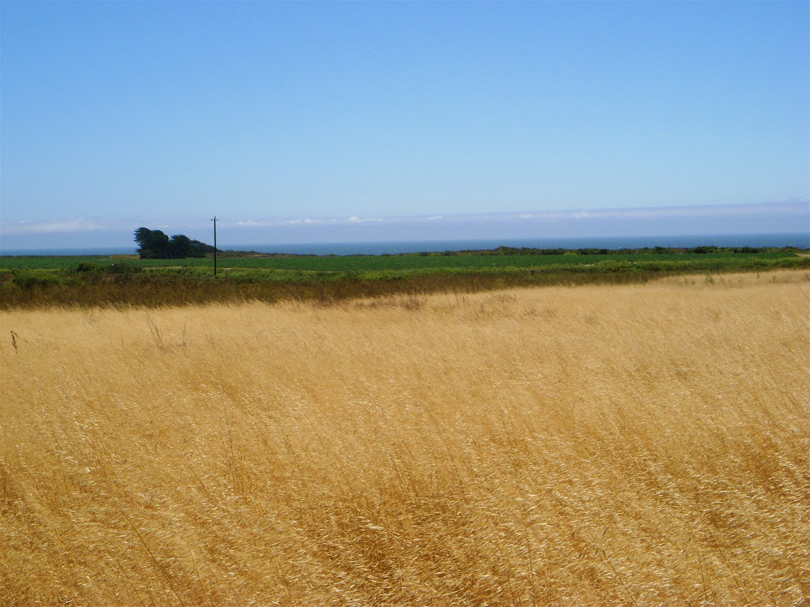 [DSCN0709.JPG]