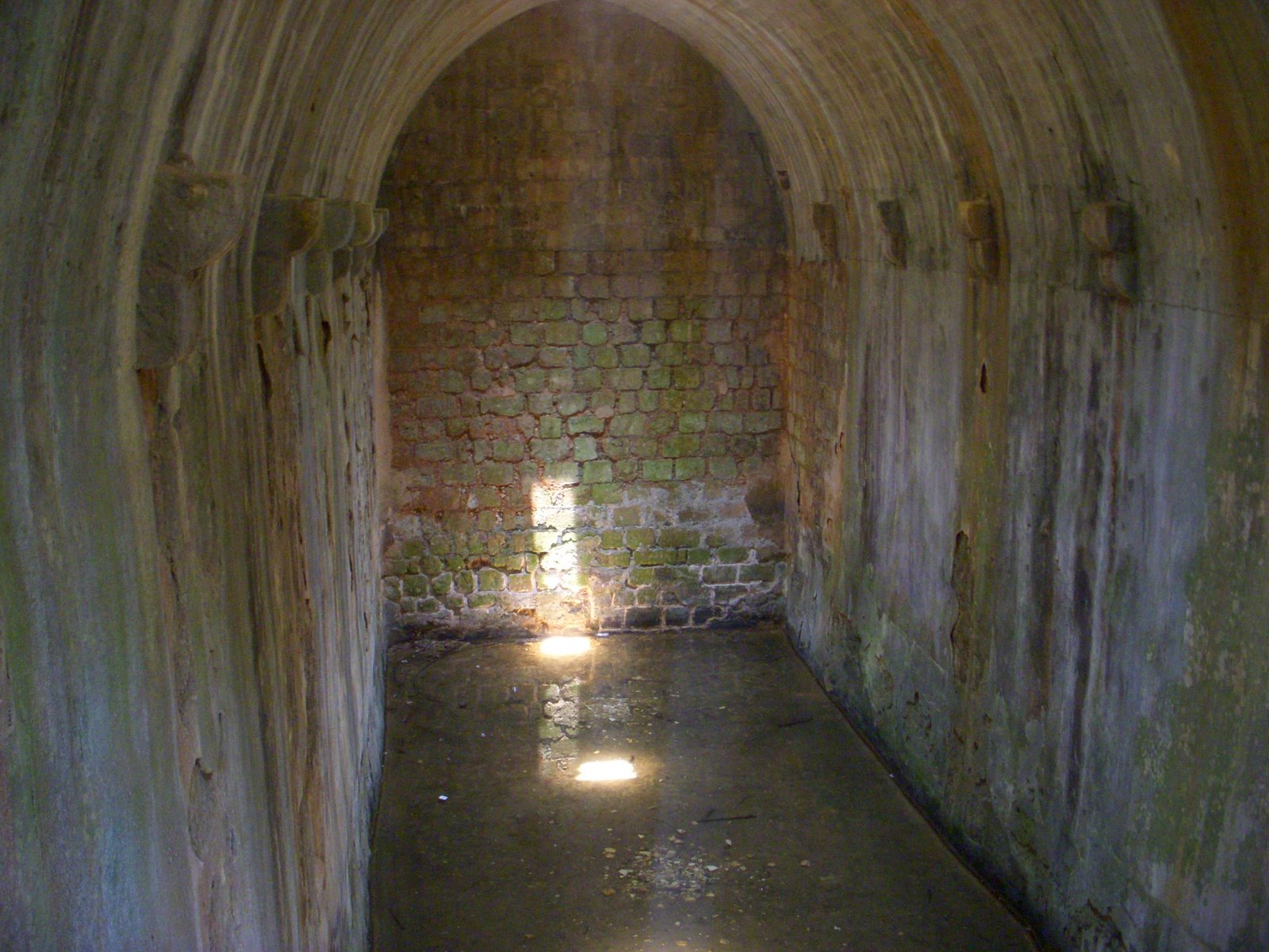 [DSCN3629.JPG]