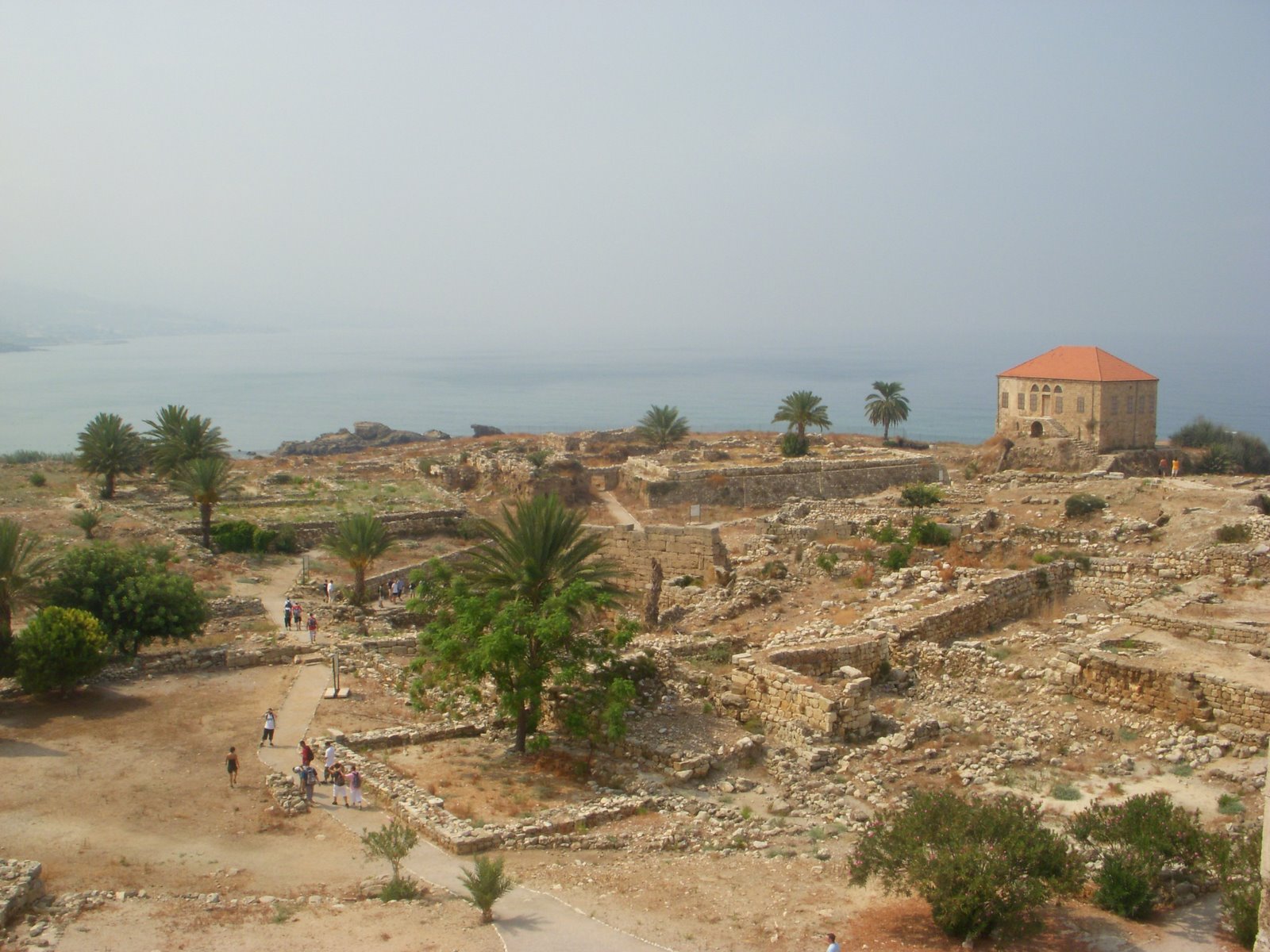 [DSCN4230.JPG]