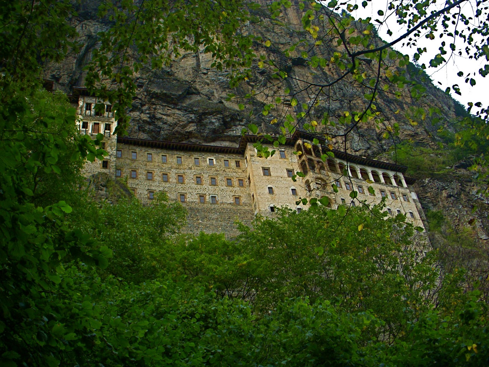 [DSCN4635.JPG]