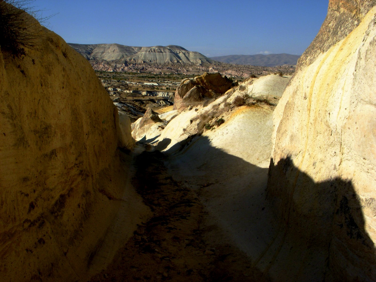 [DSCN4971.JPG]