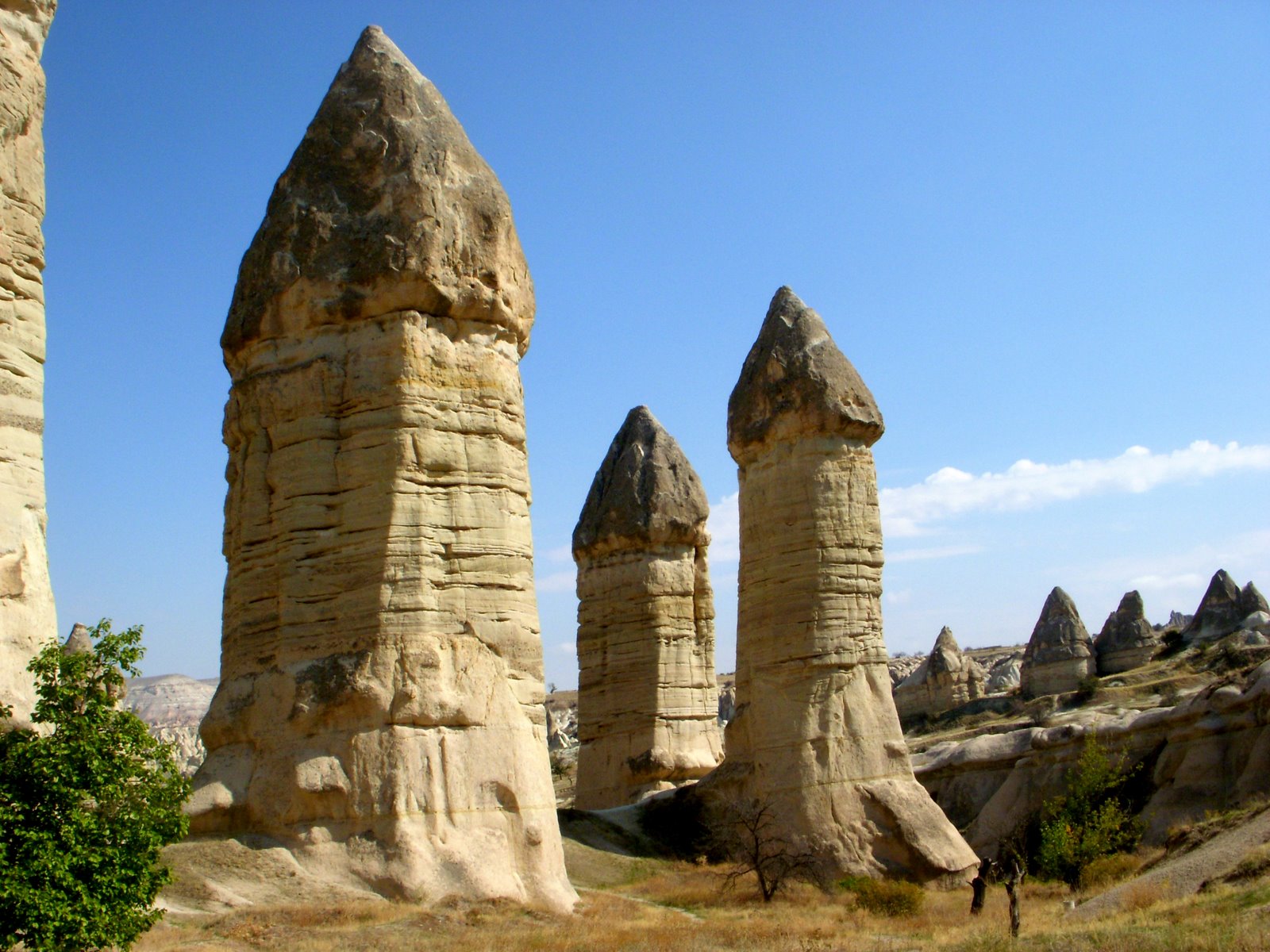 [DSCN5416.JPG]