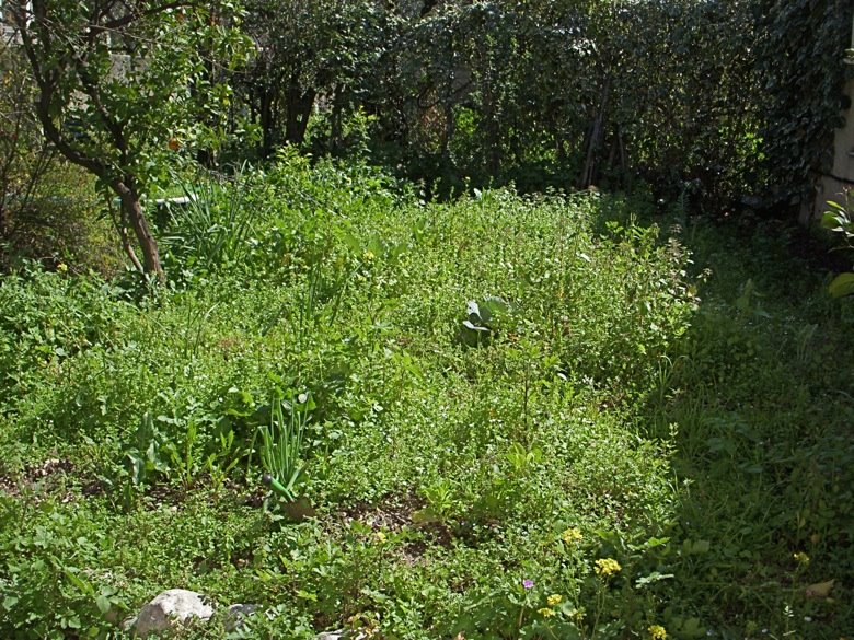[DSCN8130.JPG]