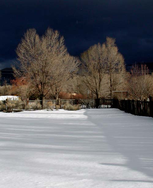 [winterafternoon_500.jpg]