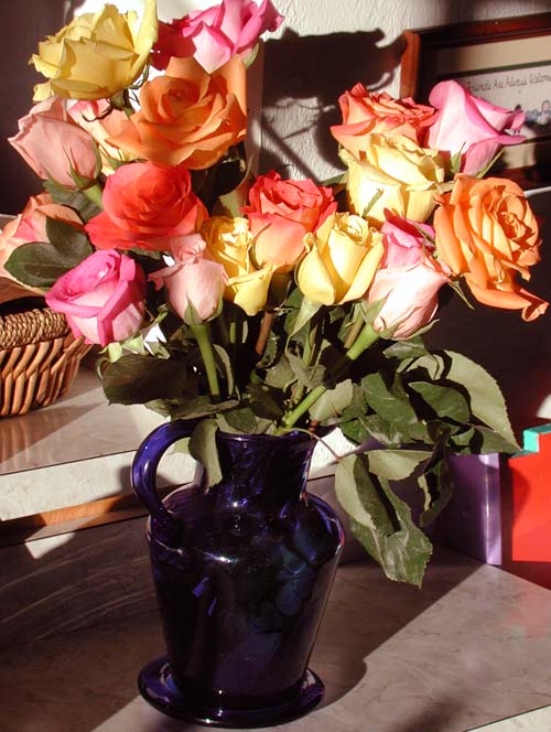 [JohnsRoses_500.jpg]