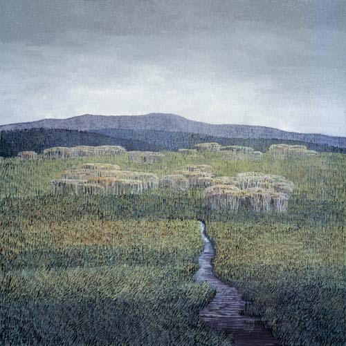 [248DondeNaceLaLluvia_500.jpg]