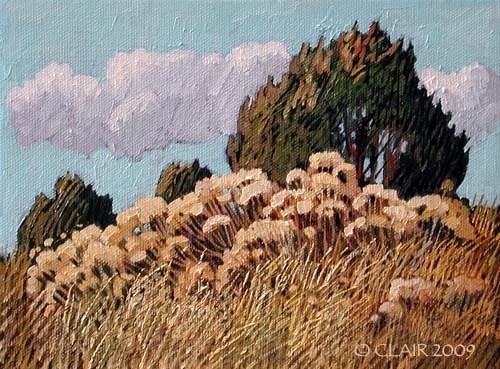 [4609FnCprChamisaAft_500.jpg]