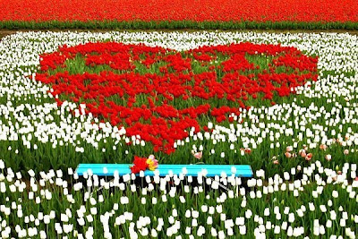 Rishi Cool Pics: Beautiful Tuli...