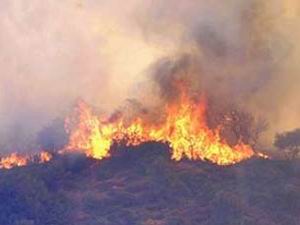 [incendioportugal137yo7.jpg]