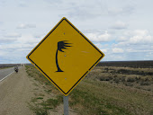 High wind warning