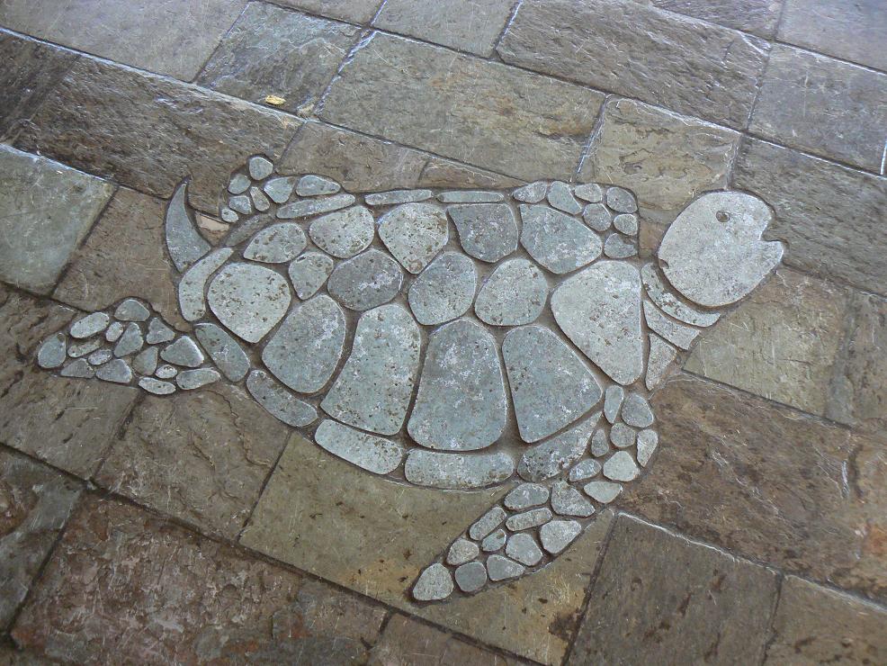 [honu.JPG]