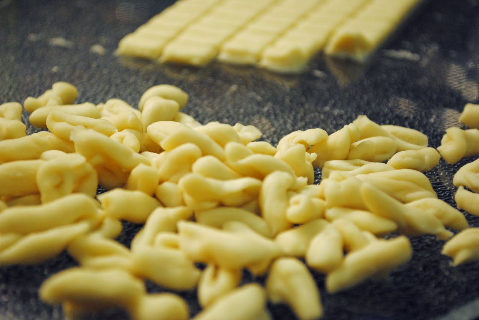 Veggies for Carnivores Cat's Ear Noodles (Mao Er Duo 貓耳朵)