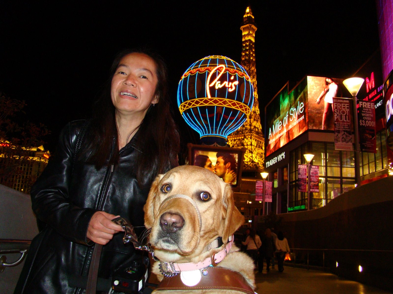[DSC00182.JPG]
