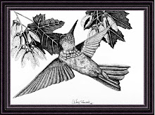 Hummingbird "series 3"