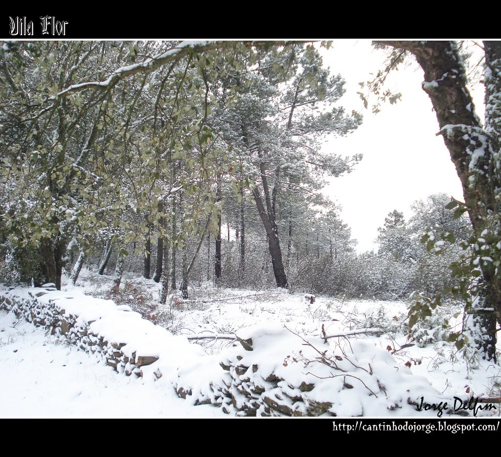 [Vila+Flor+-+neve+(7)7.jpg]