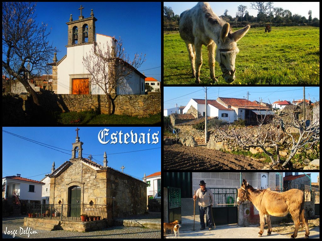 [Estevais.jpg]