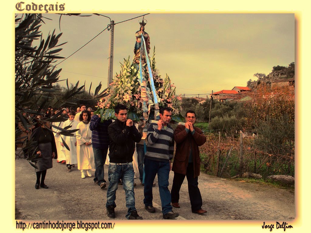 [Codeçais+-+Festa+2009+(4).jpg]