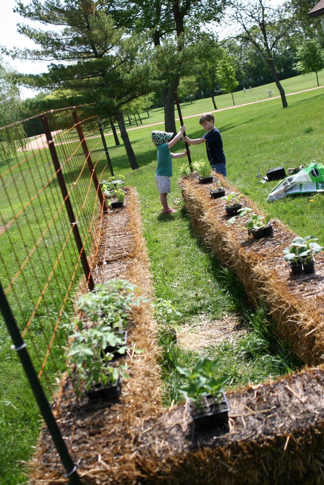 4 the Love of Family How to plant a straw bale garden