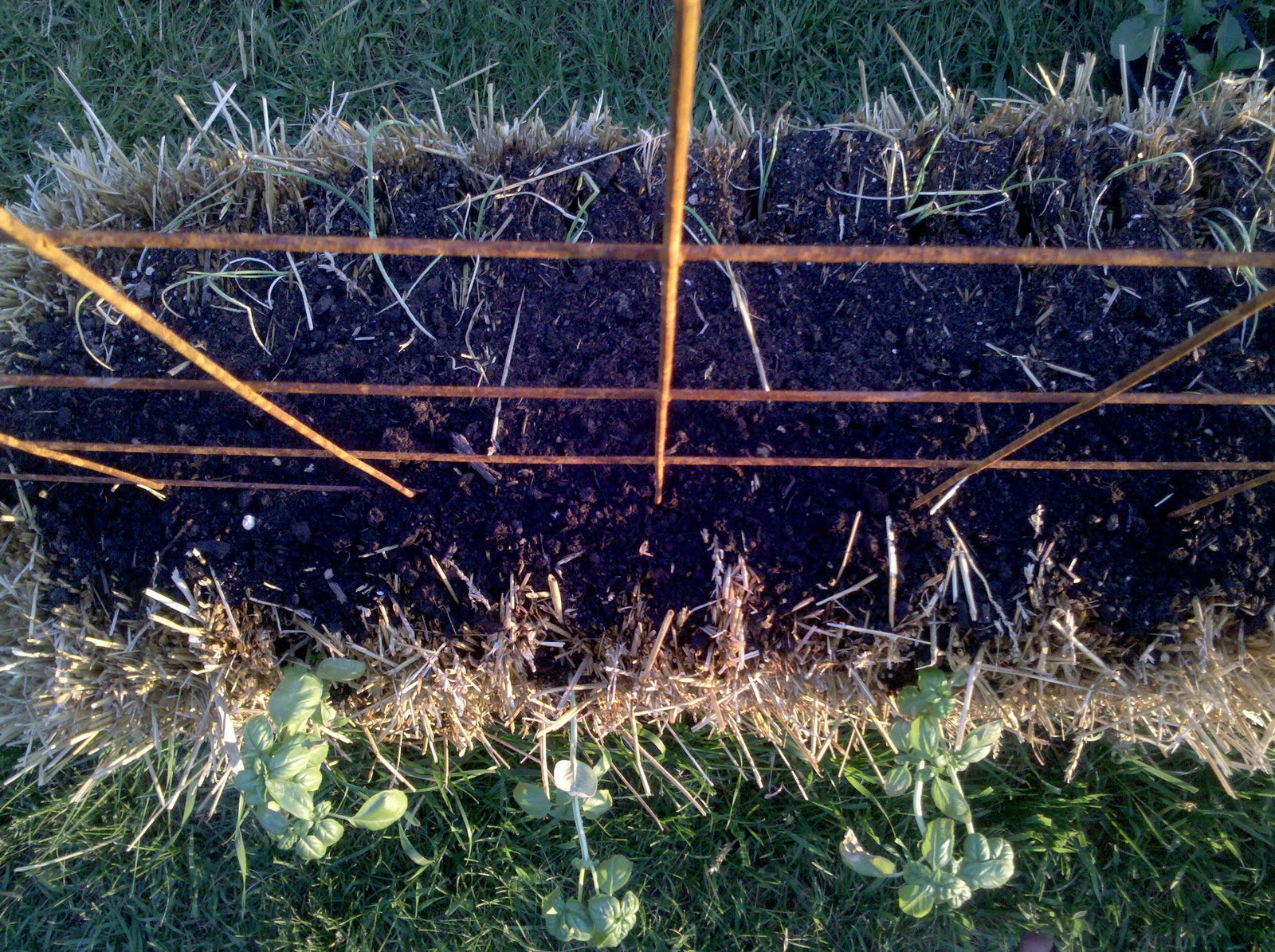 4 the Love of Family How to plant a straw bale garden