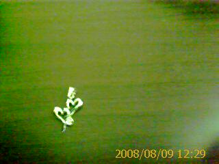 [j's+Pic+_00042.jpg]