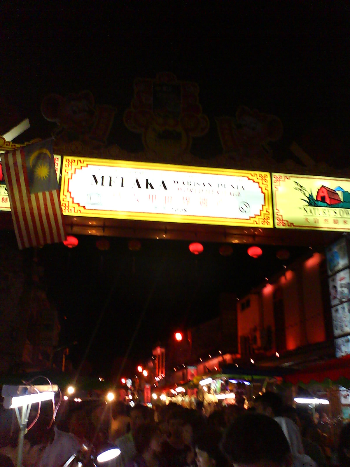 [DSC00177.JPG]