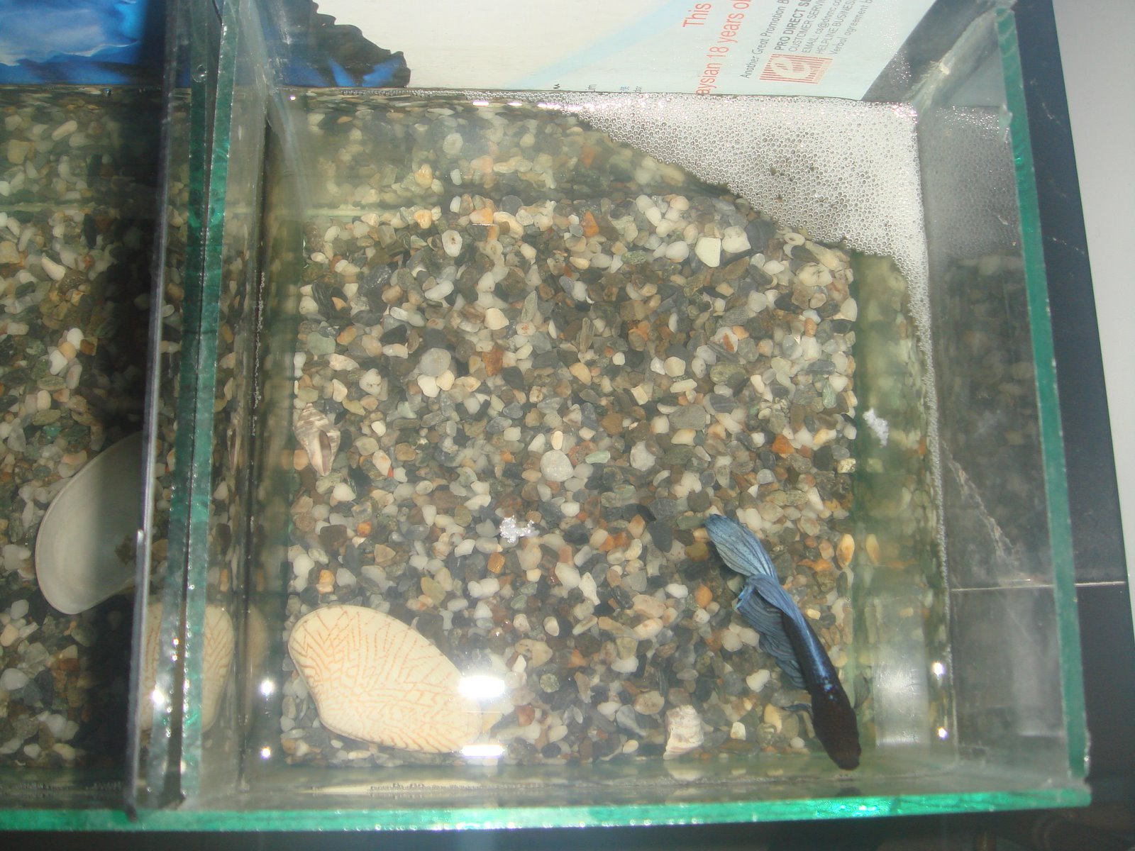 [DSC01328.JPG]