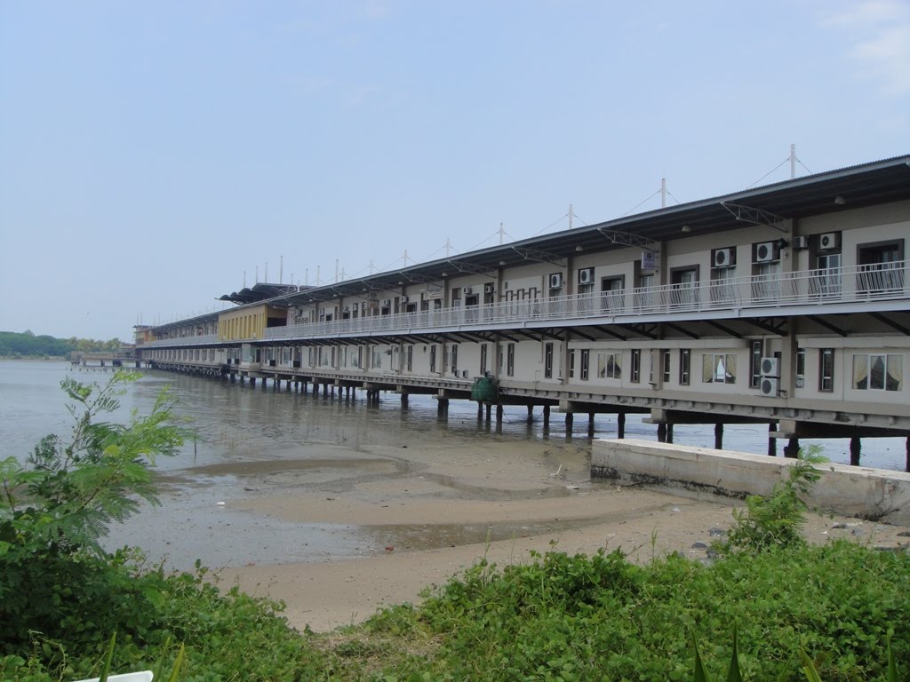 [DSC00797.JPG]