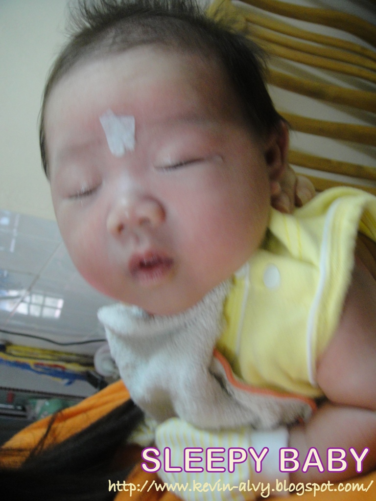 [DSC01480.JPG]
