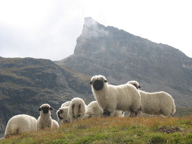 Zermatt, Switzerland August 2007